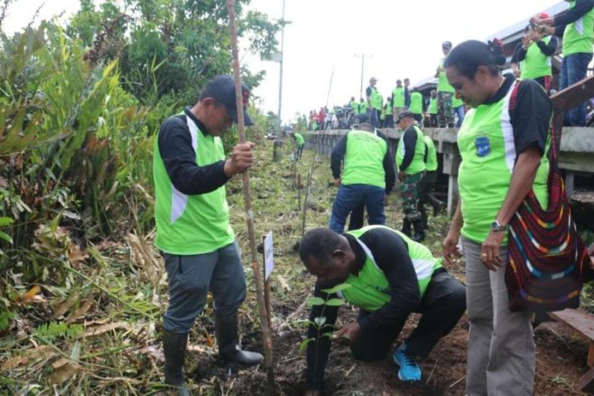 Bupati Asmat ajak masyarakatnya giat menanam pohon