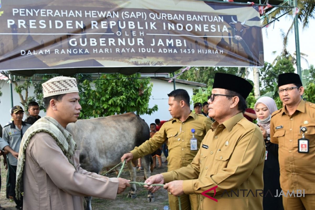 Fachrori serahkan sapi kurban dari Presiden dan pribadi