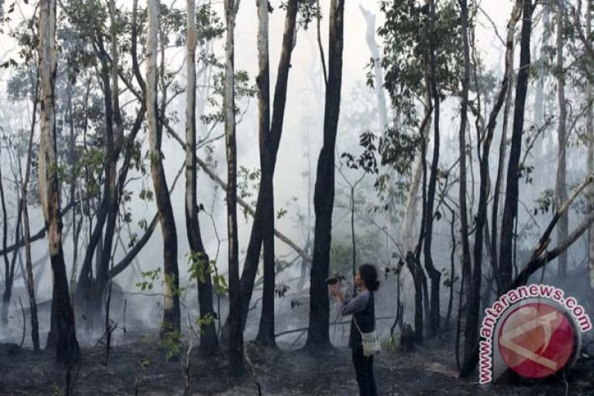 Dua Lahan Di Kabupaten Gorontalo Terbakar