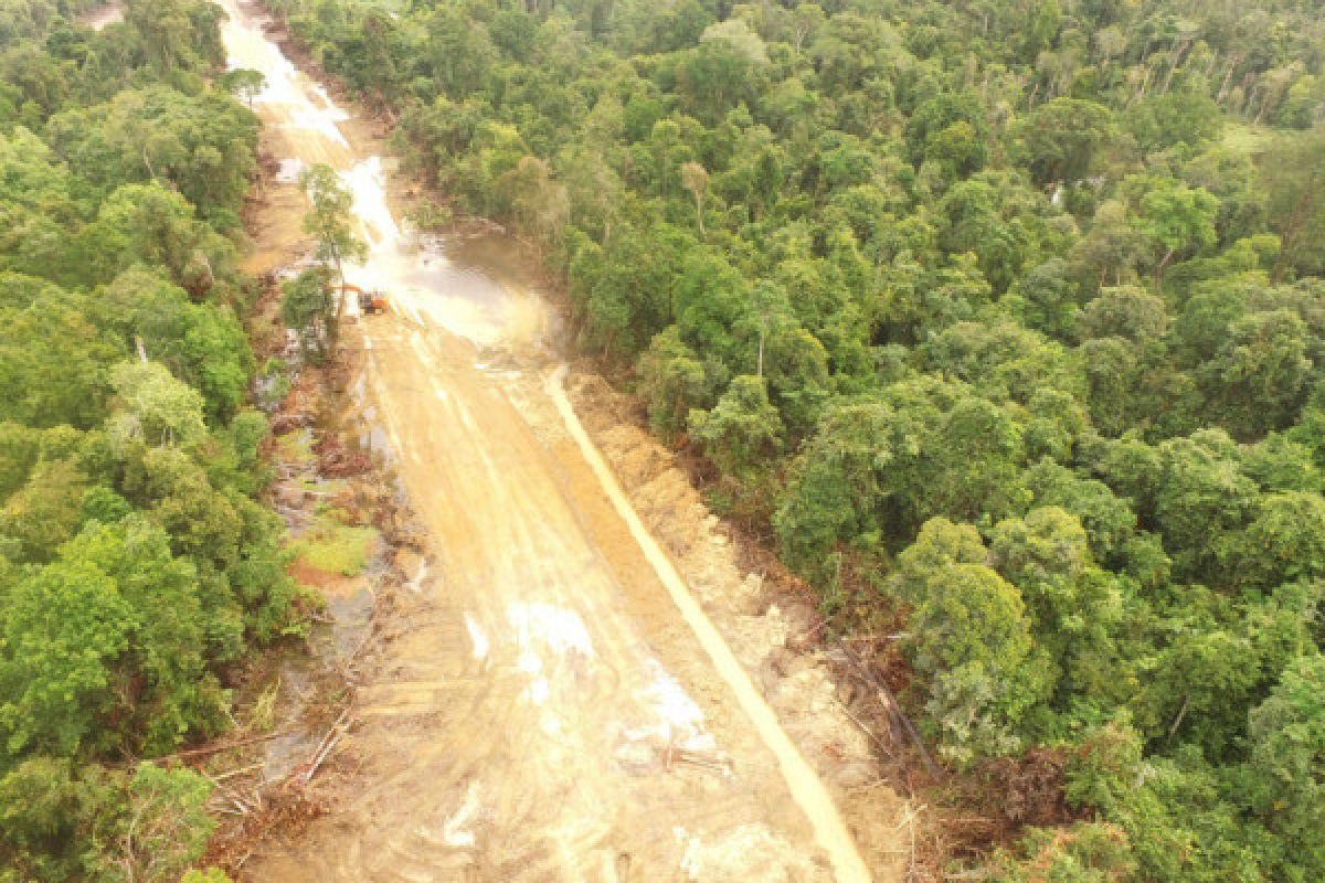1.200 hektare kawasan konservasi di Ketapang terancam rusak