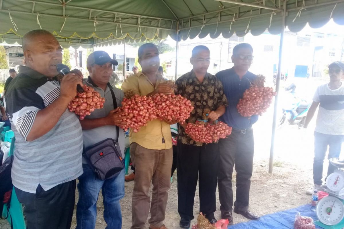 Harga bawang terus bergerak turun