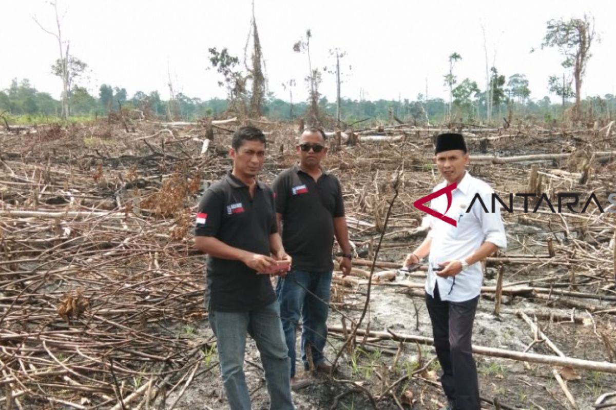 "Pak Tua" diduga rambah 175 hektare hutan Musi Rawas