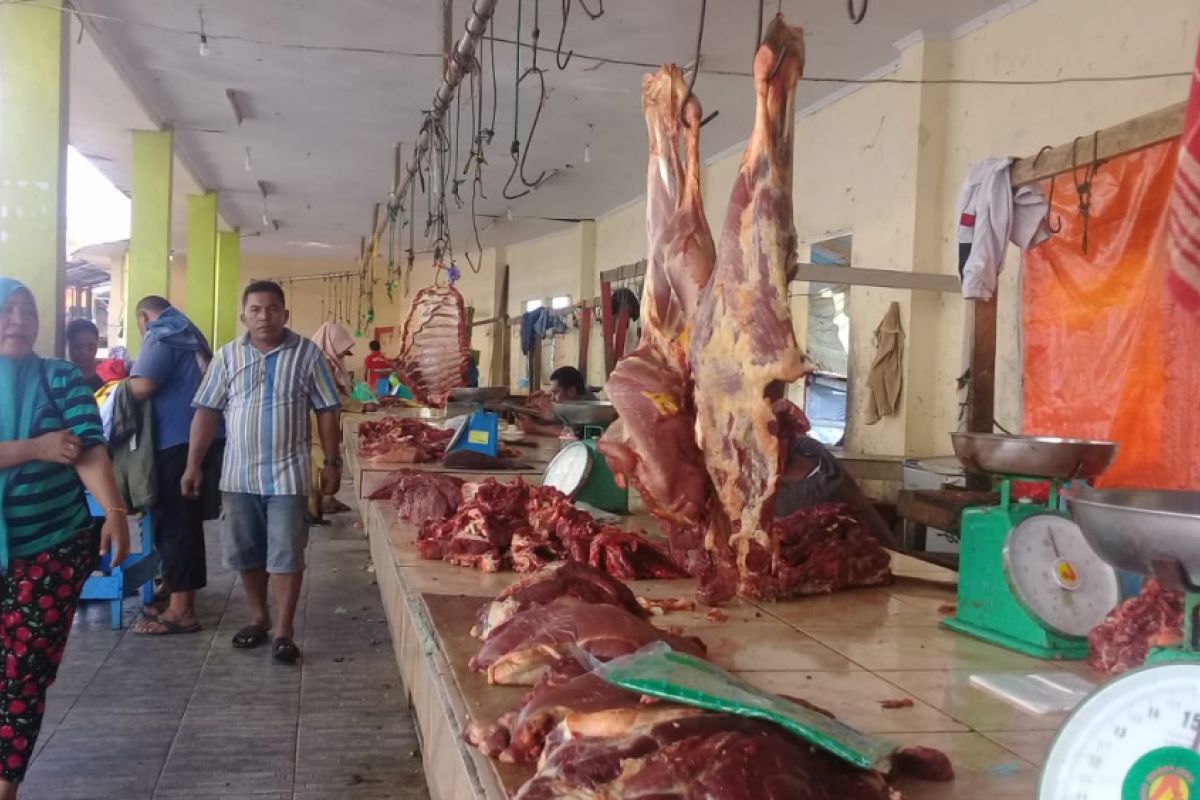 Distan: sapi produktif jangan dijadikan hewan kurban