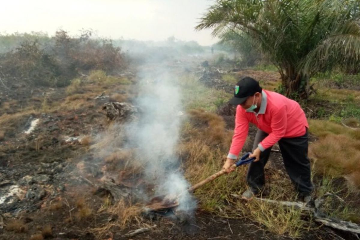 Dua hari, luas hutan yang terbakar di Pesisir Selatan capai 300 hektare