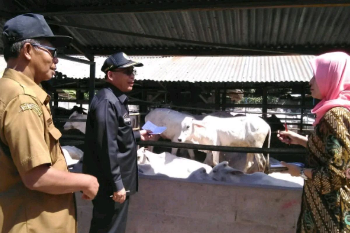 Pemprov Sumut salurkan bantuan  4.016 ekor ternak