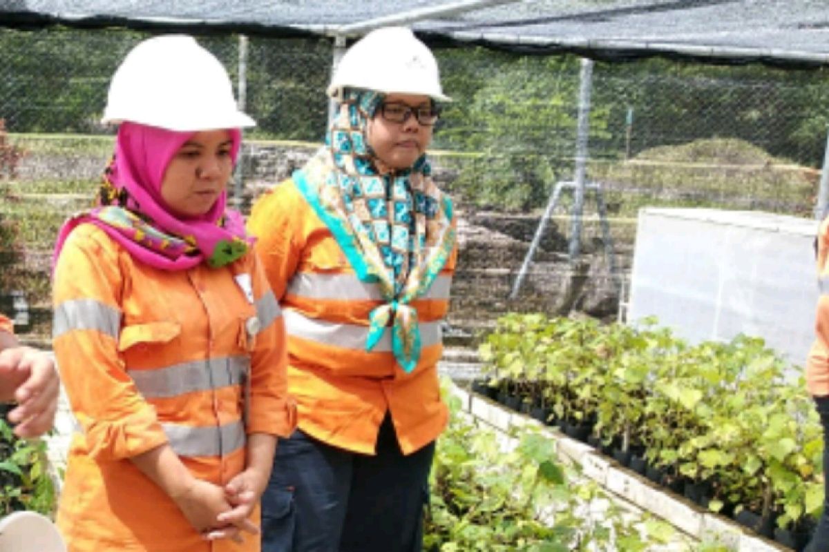 Perempuan dibalik rehabilitasi lahan Tambang Emas Martabe