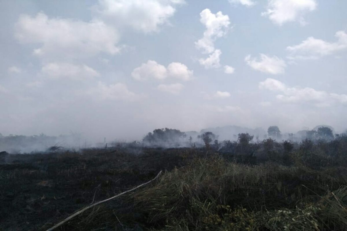 Lahan gambut di pesisir Kotim ikut terbakar