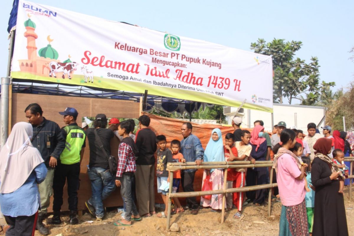 BUMN hadir - Pupuk Kujang bagikan 4.400 bungkus daging kurban