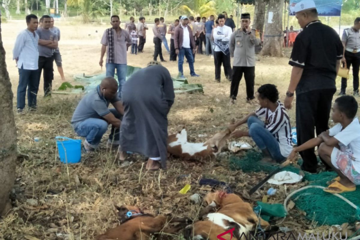 Polres Malra salurkan hewan kurban ke masjid
