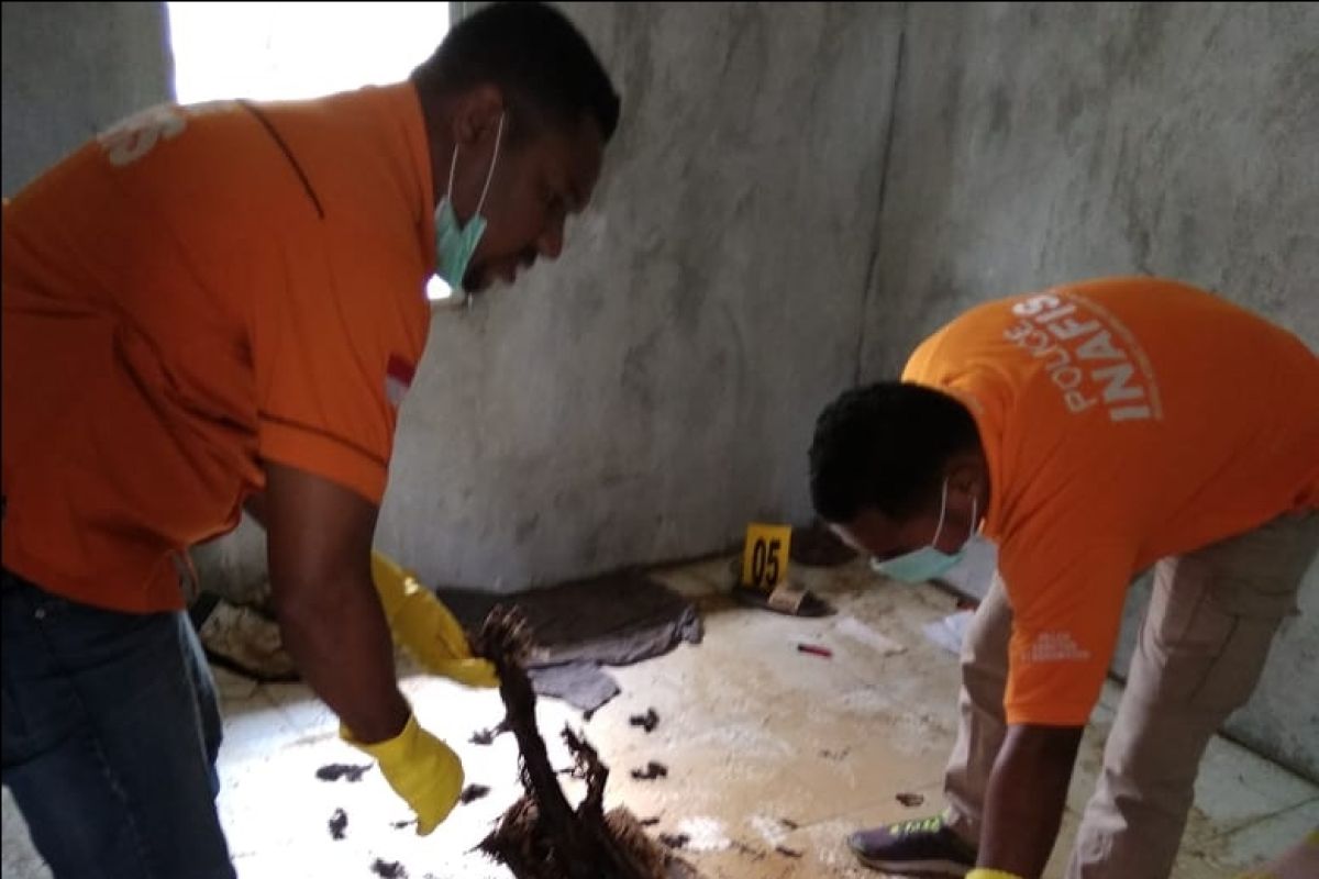Polisi Jayapura temukan tulang belulang manusia