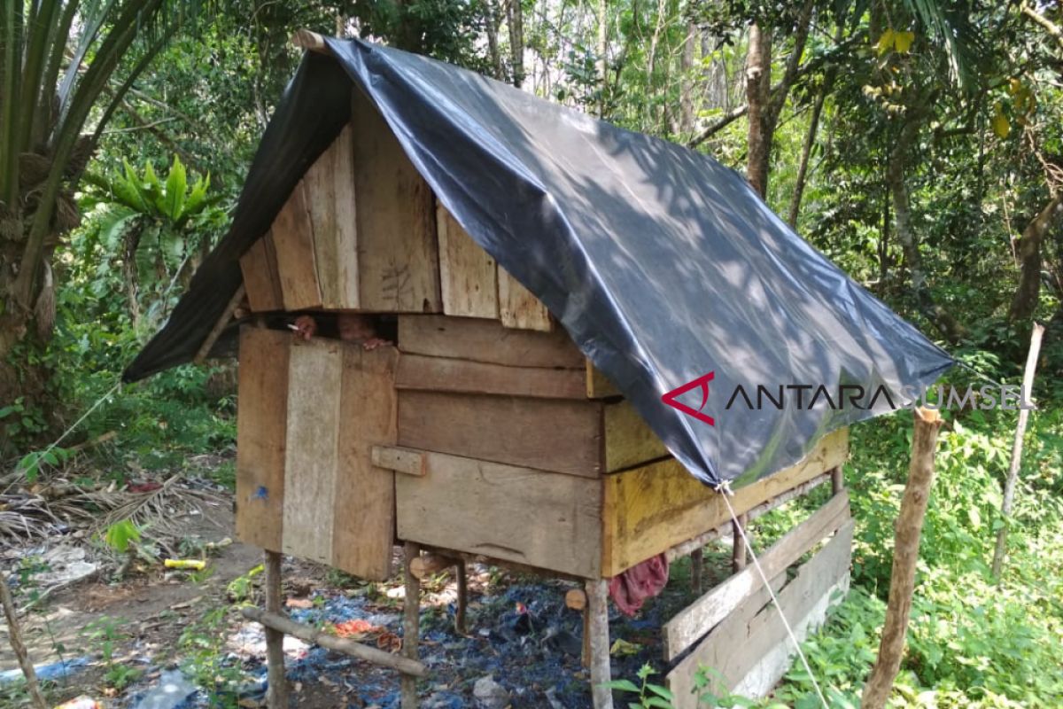 Wanita tua tinggal di pondok seperti kandang kambing