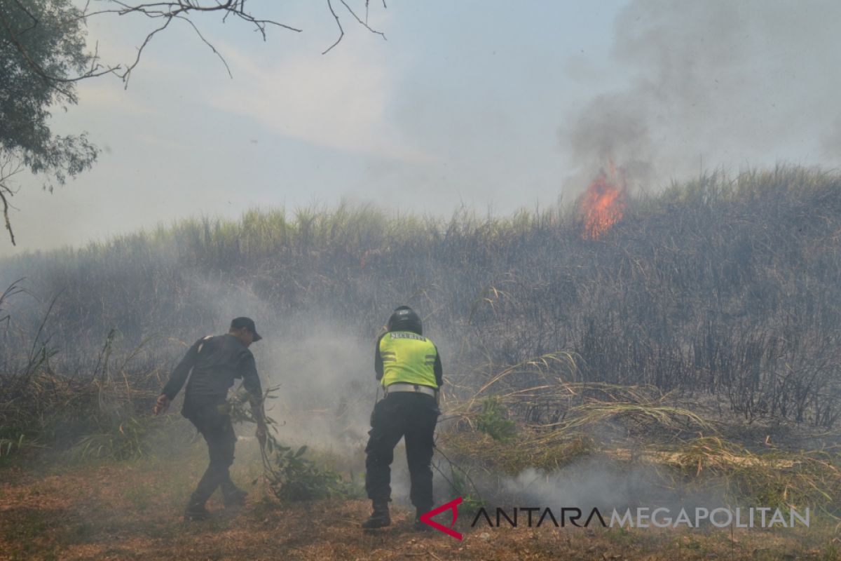 Kebakaran ilalang terjadi di kawasan industri Karawang