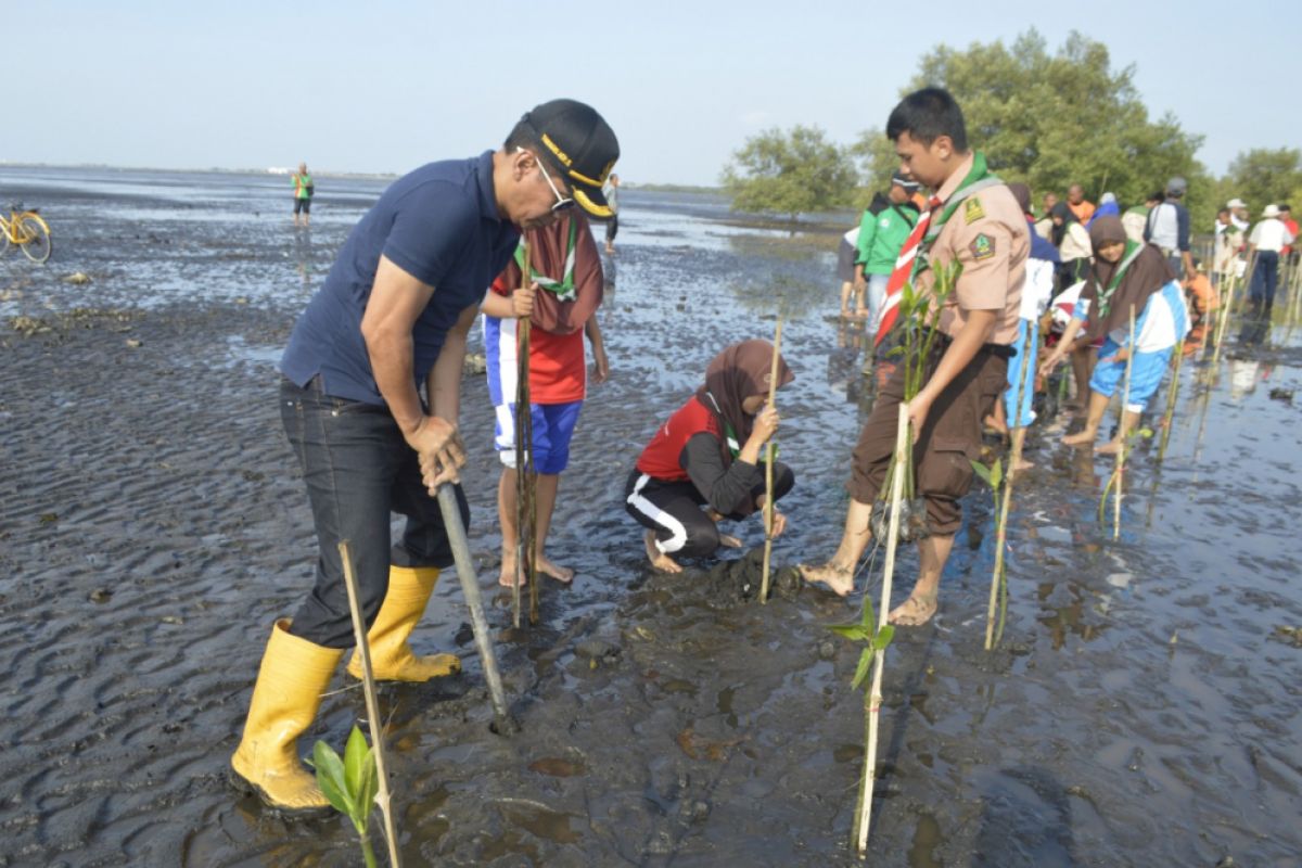 Perhutani Tanam Seribu Mangrove Pesisir Kota Probolinggo