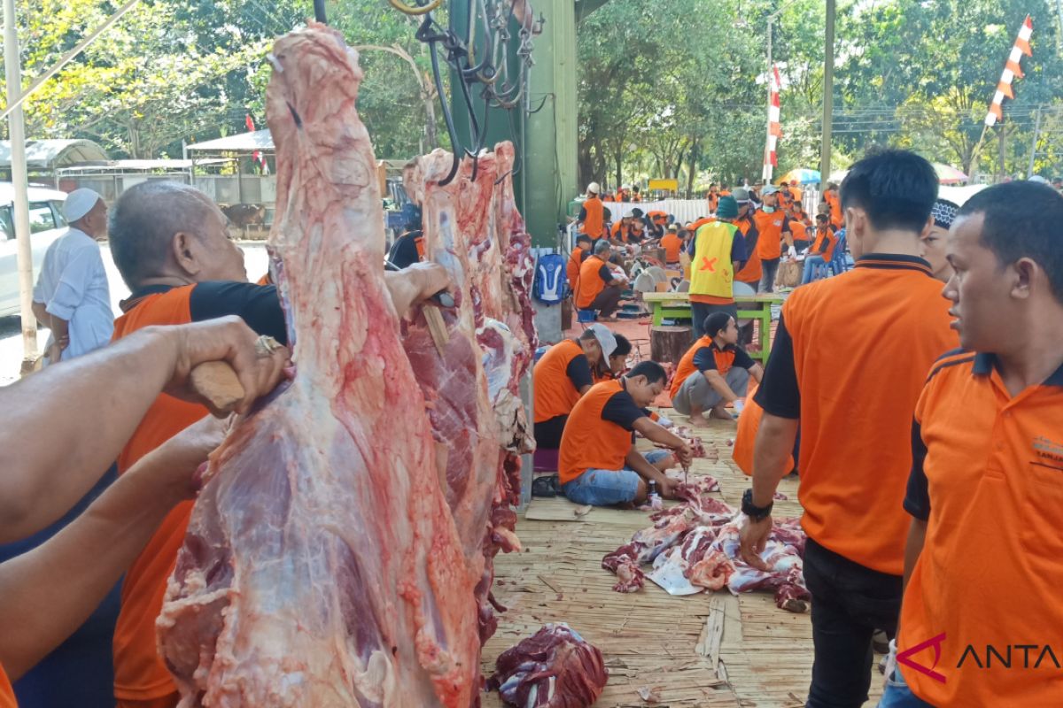 Al Jihad Mosque distributes 10 thousand bags of sacrificial meat