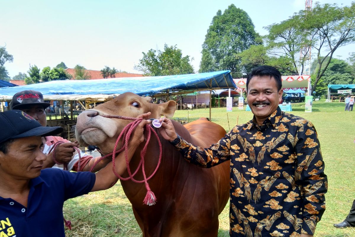 Distan Kota Bogor intensifkan pemeriksaan hewan kurban