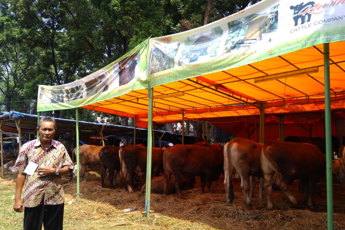 Bursa hewan kurban Bogor diminati peternak