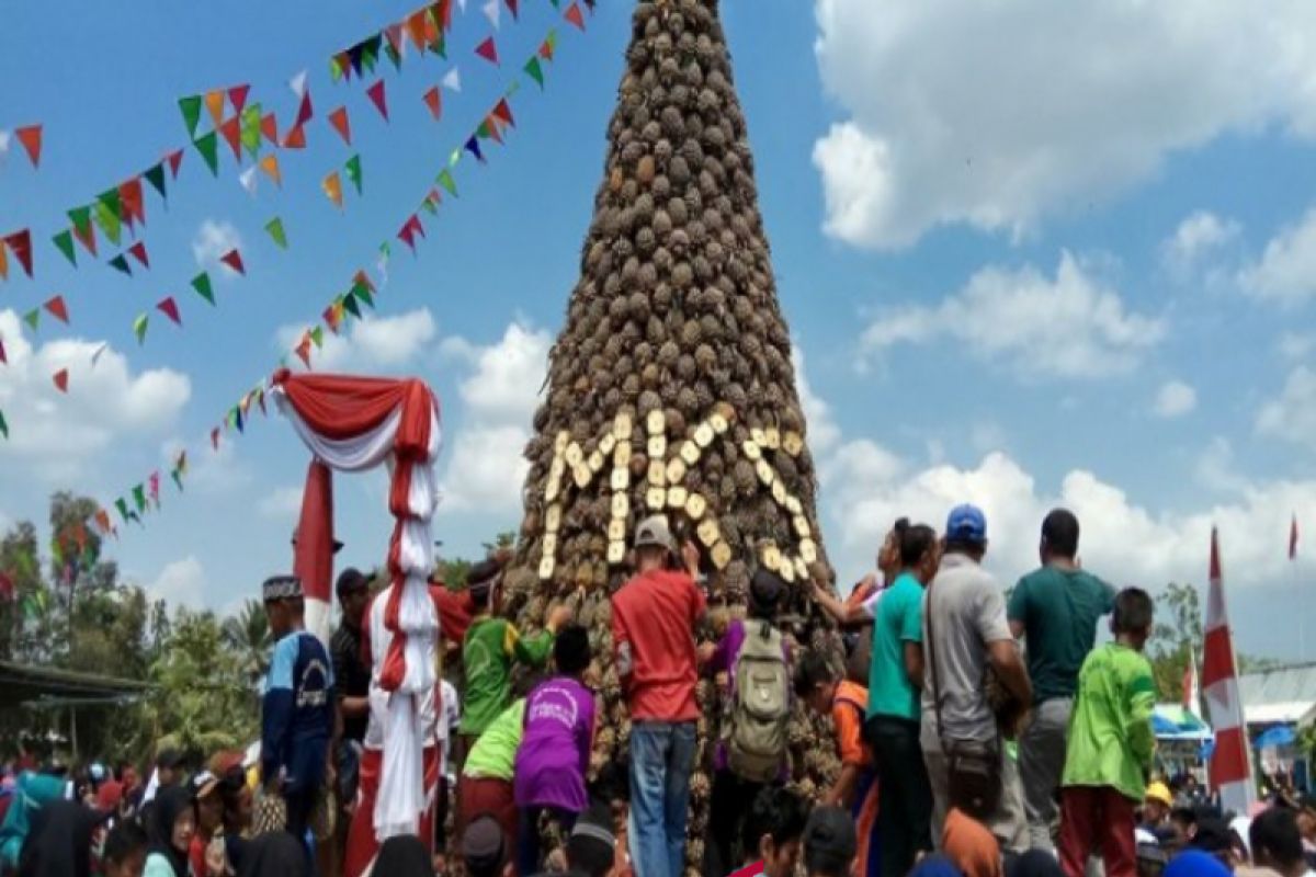 First pineapple festival in Barito Kuala