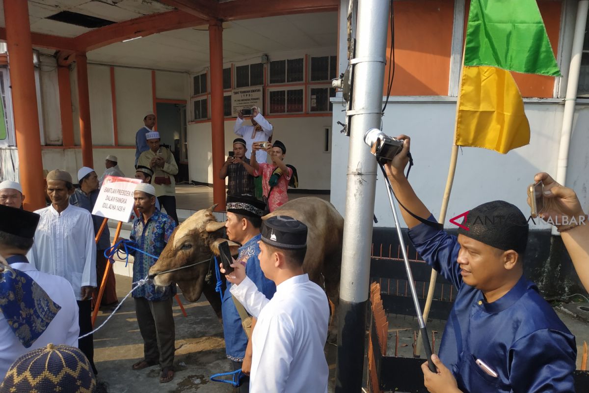 Jajaran Pemkot Pontianak serahkan 30 sapi kurban