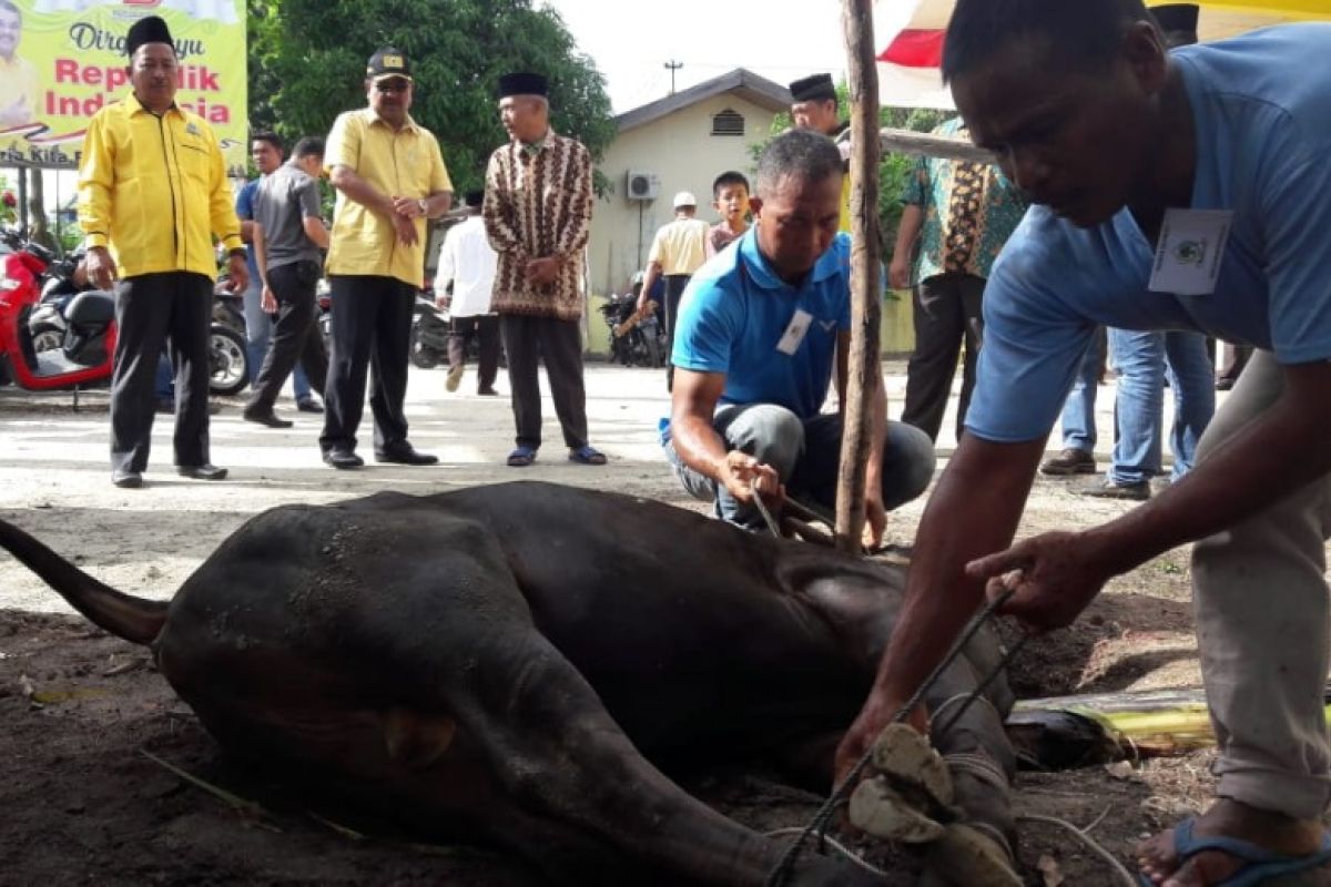 Golkar Karimun bagikan 350 kantong daging kurban