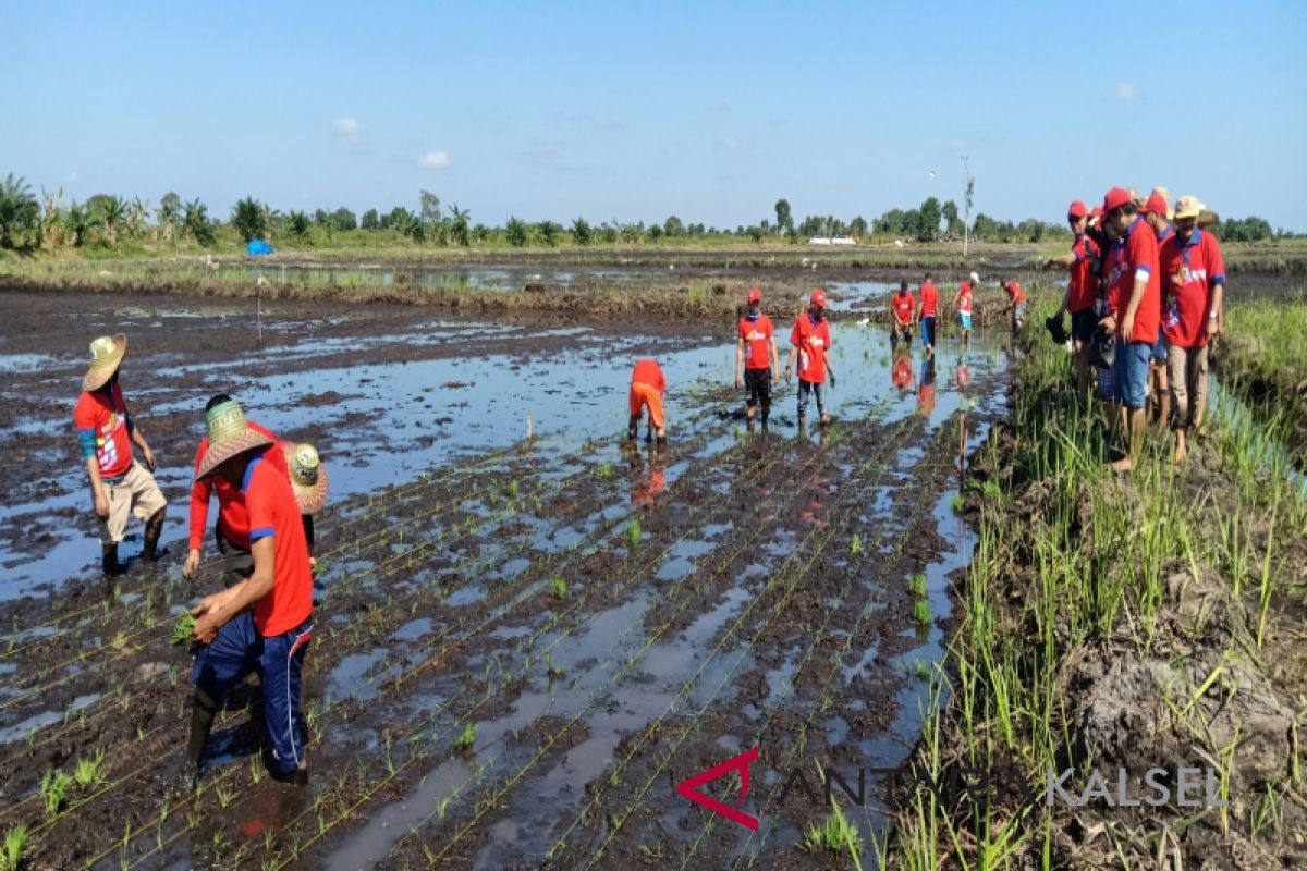 Pemprov manfaatkan HPS kenalkan pertanian ke pelajar