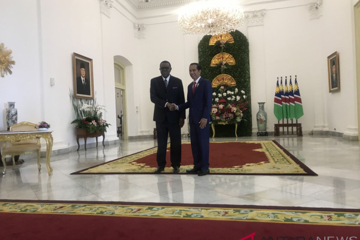 Jokowi sambut Presiden Namibia dengan upacara kenegaraan