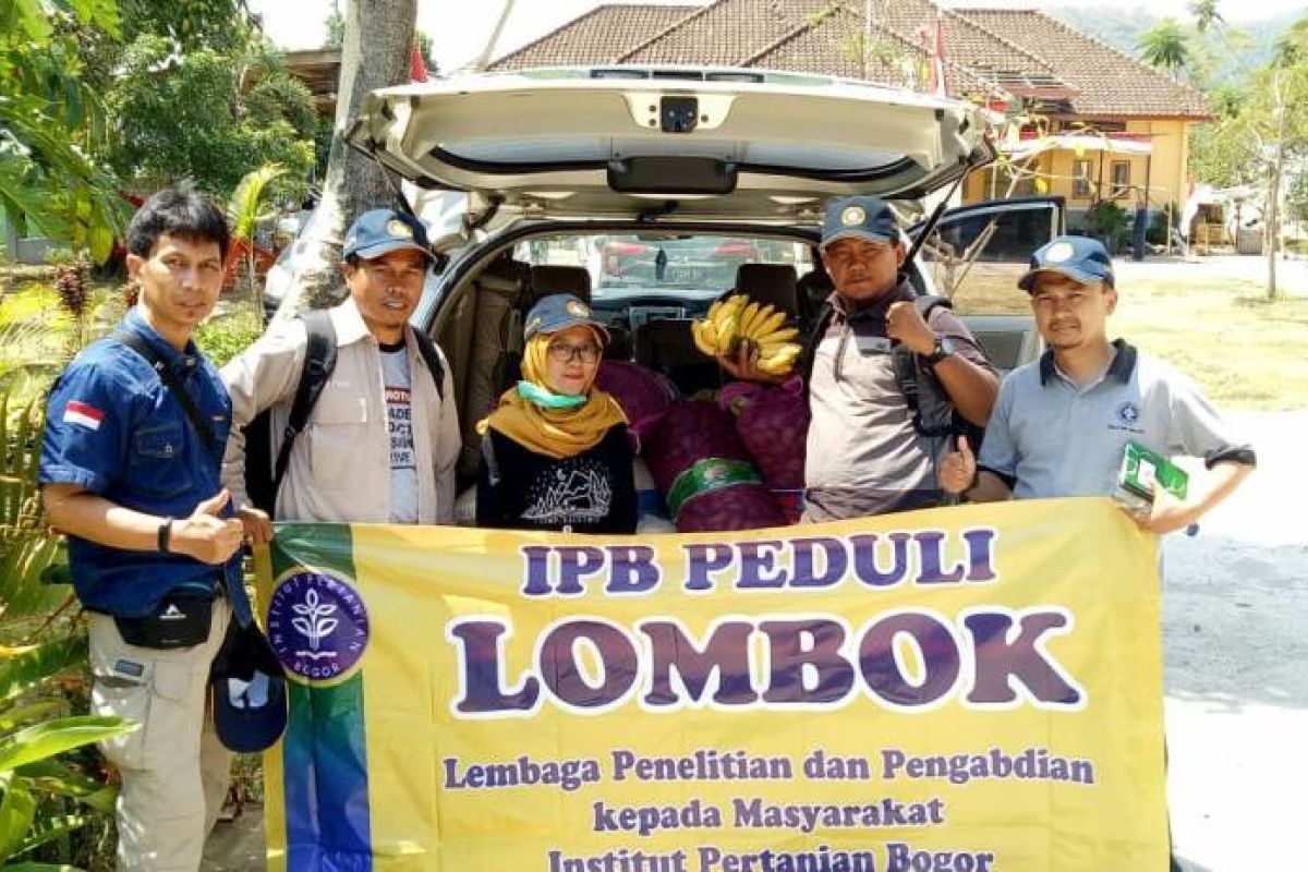 IPB lakukan pendataan pertanian Kabupaten Lombok Utara yang terdampak bencana