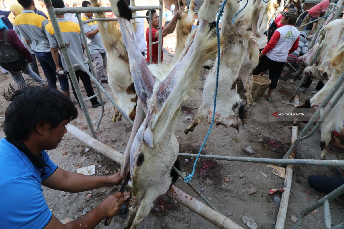 Gugus Tugas siapkan aturan pemotongan hewan kurban