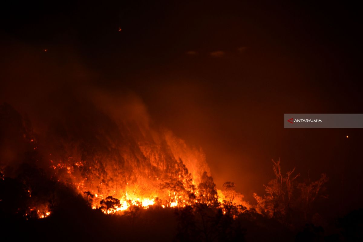 Kondisi ini sebabkan Perhutani sulit awasi potensi kebakaran hutan