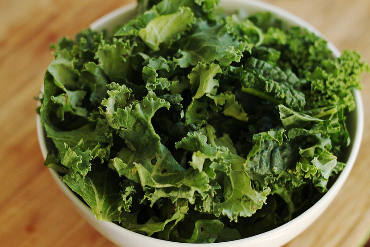 5 manfaat dari sayur kale