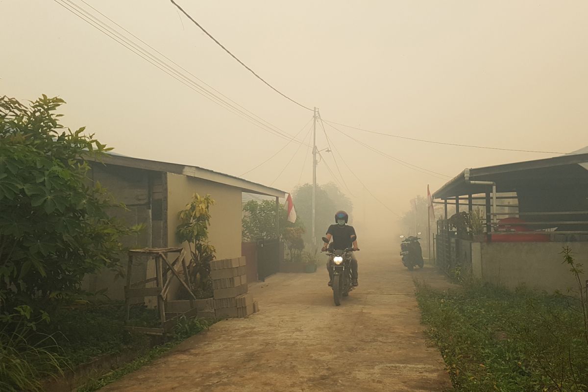 Kabut asap ganggu aktivitas ekonomi Kalbar