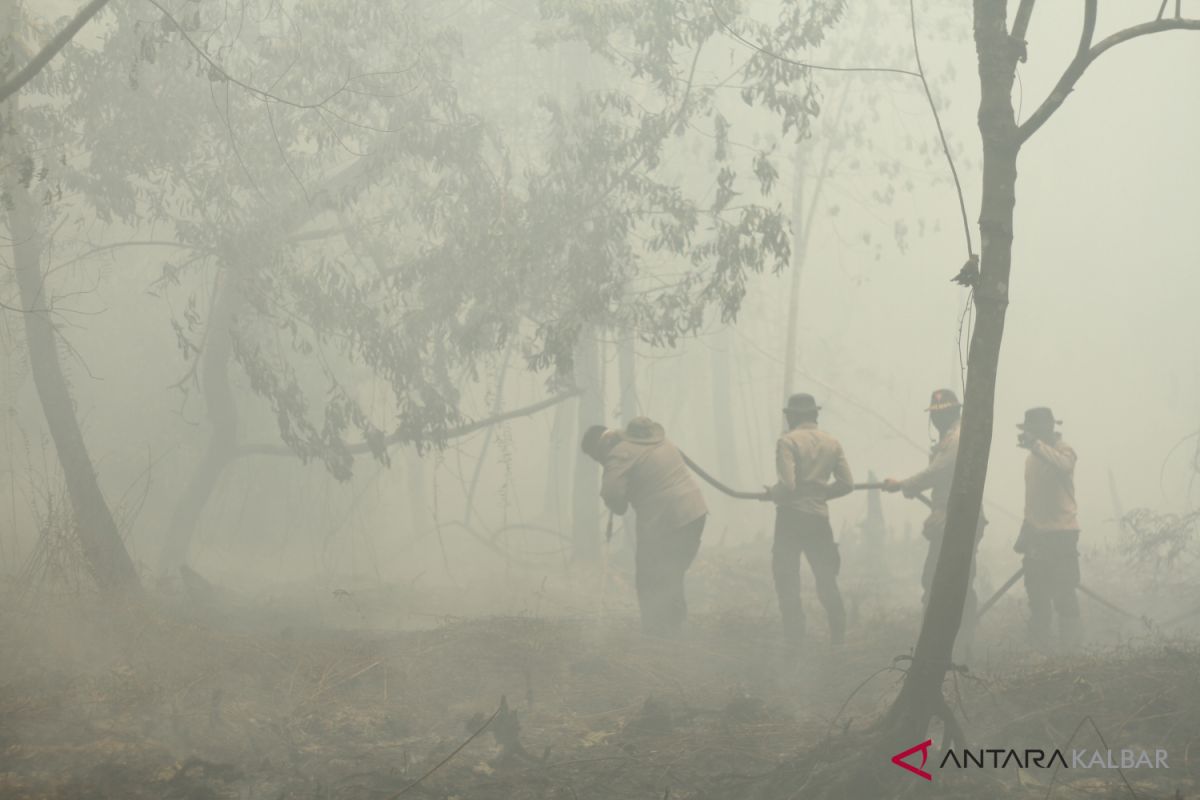 Polda Kalbar tahan 14 tersangka pembakar lahan