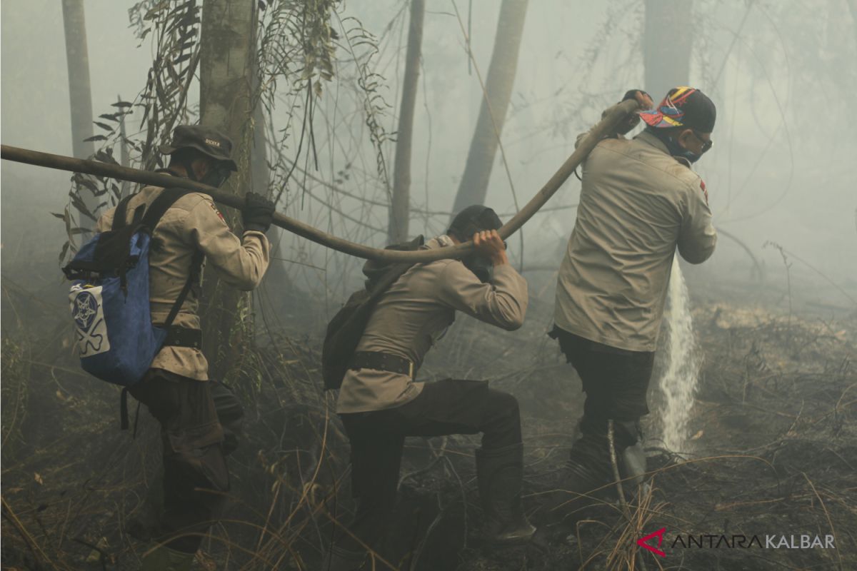 Pelaku karhutla harus ditindak tegas