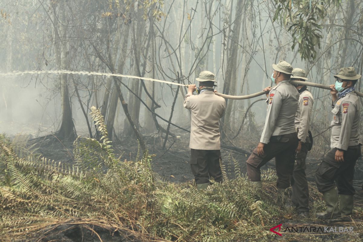 Gubernur Kalbar: tegakkan aturan paling efektif tekan Karhutla