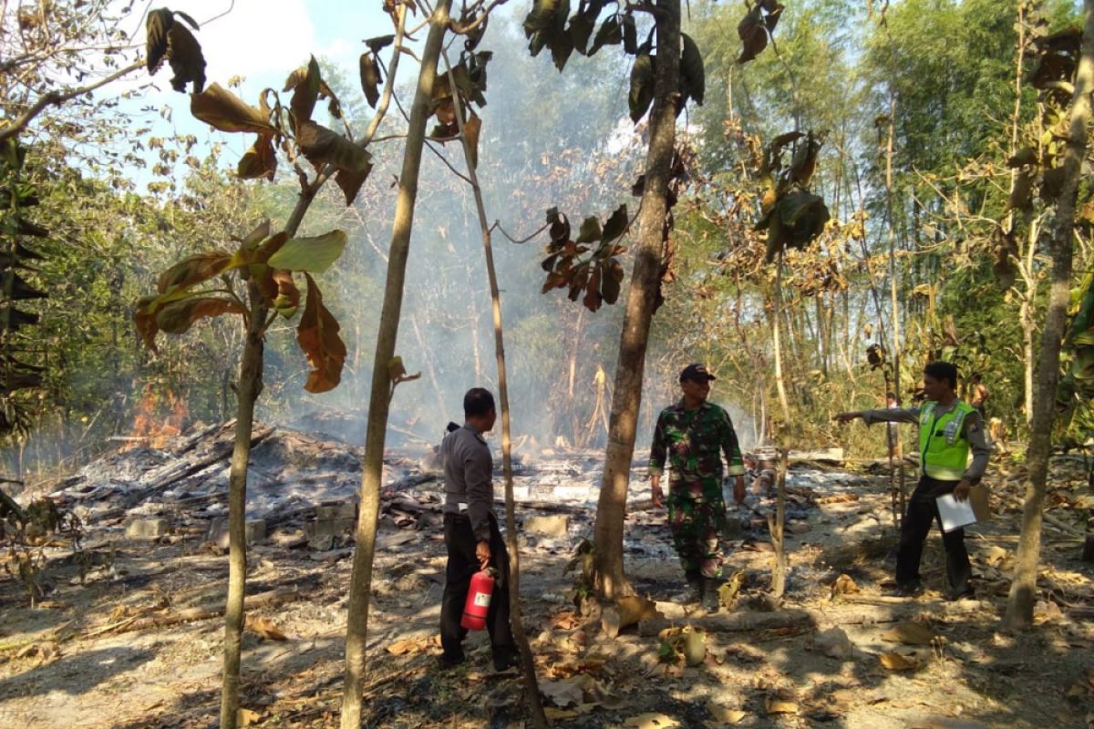 26 Kambing Etawa di Bojonegoro Hangus Terbakar