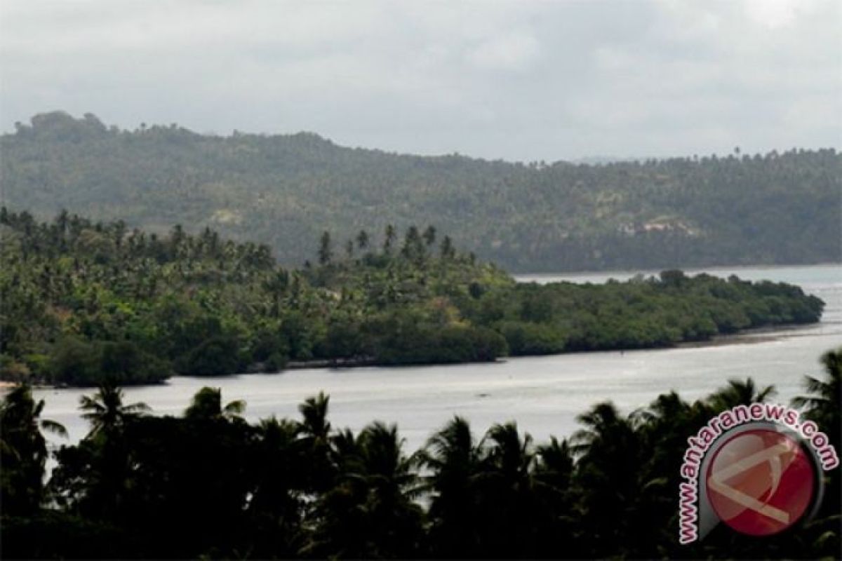 Bupati Tanimbar hentikan izin operasional Hutan Kemasyarakatan