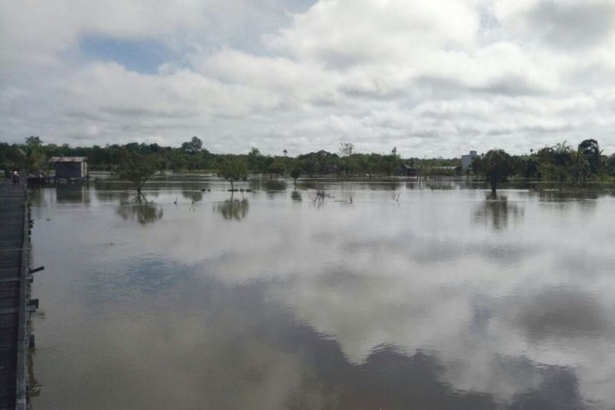 Petani di Barut terima asuransi Rp880 juta