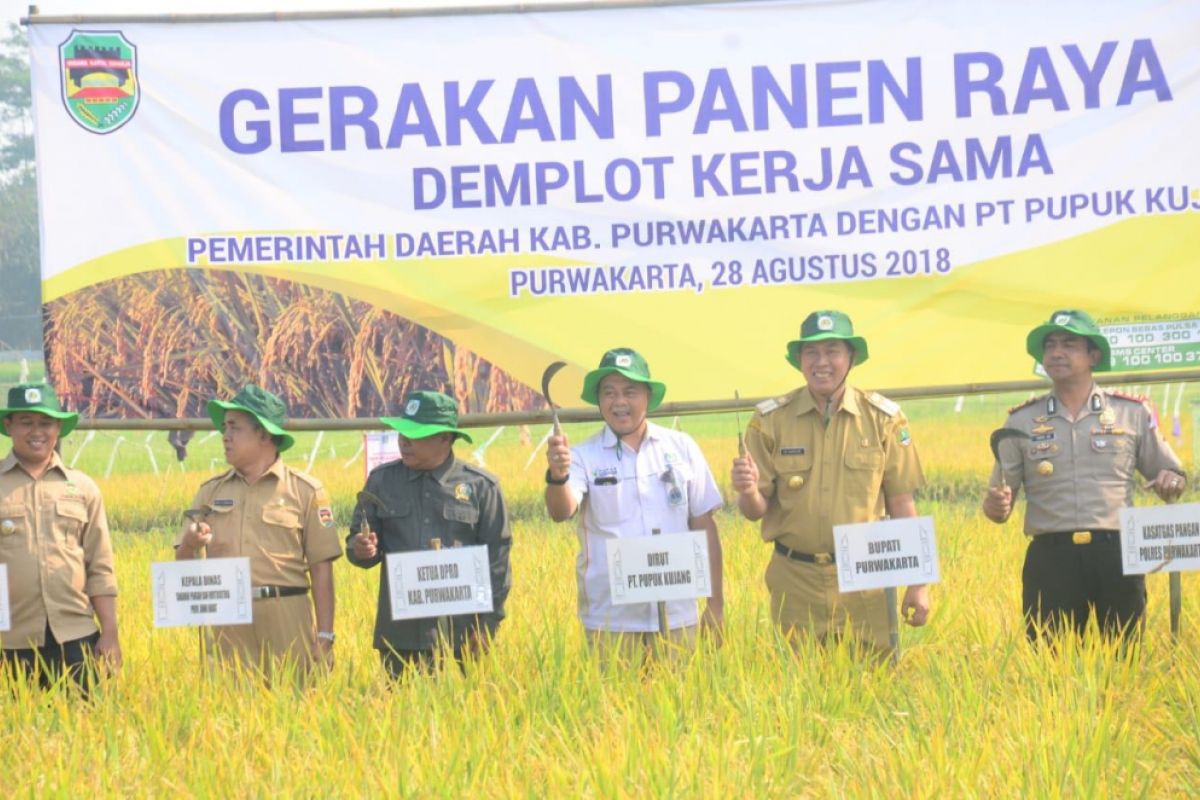 Pupuk Kujang bantu petani Purwakarta tingkatkan produksi