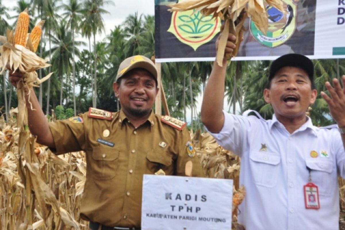 Parigi Moutong tidak punya benih kedelai bersertifikat