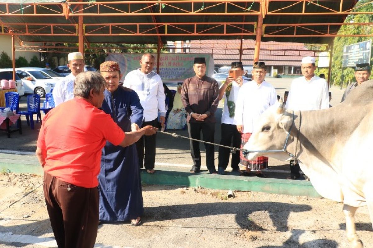 Polda Sulteng berqurban 179 ekor ternak