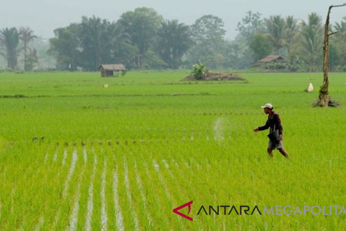 Data luas lahan pertanian Bekasi tidak sinkron