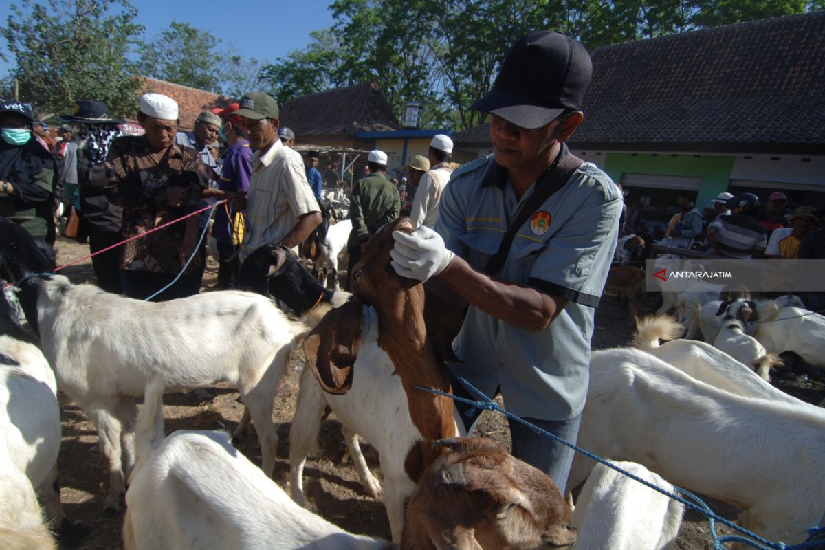 Dinas Peternakan Jatim Kerahkan Seribu Pengawas Kurban