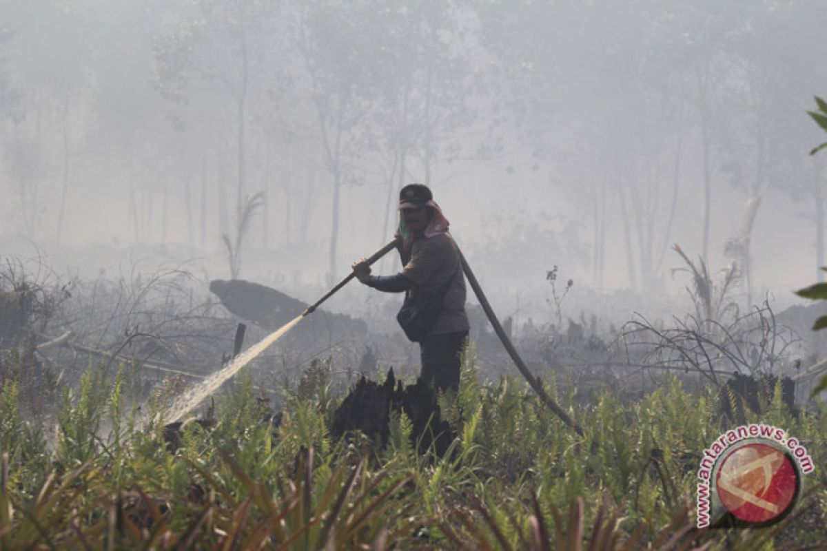 BMKG deteksi 140 titik panas di Riau