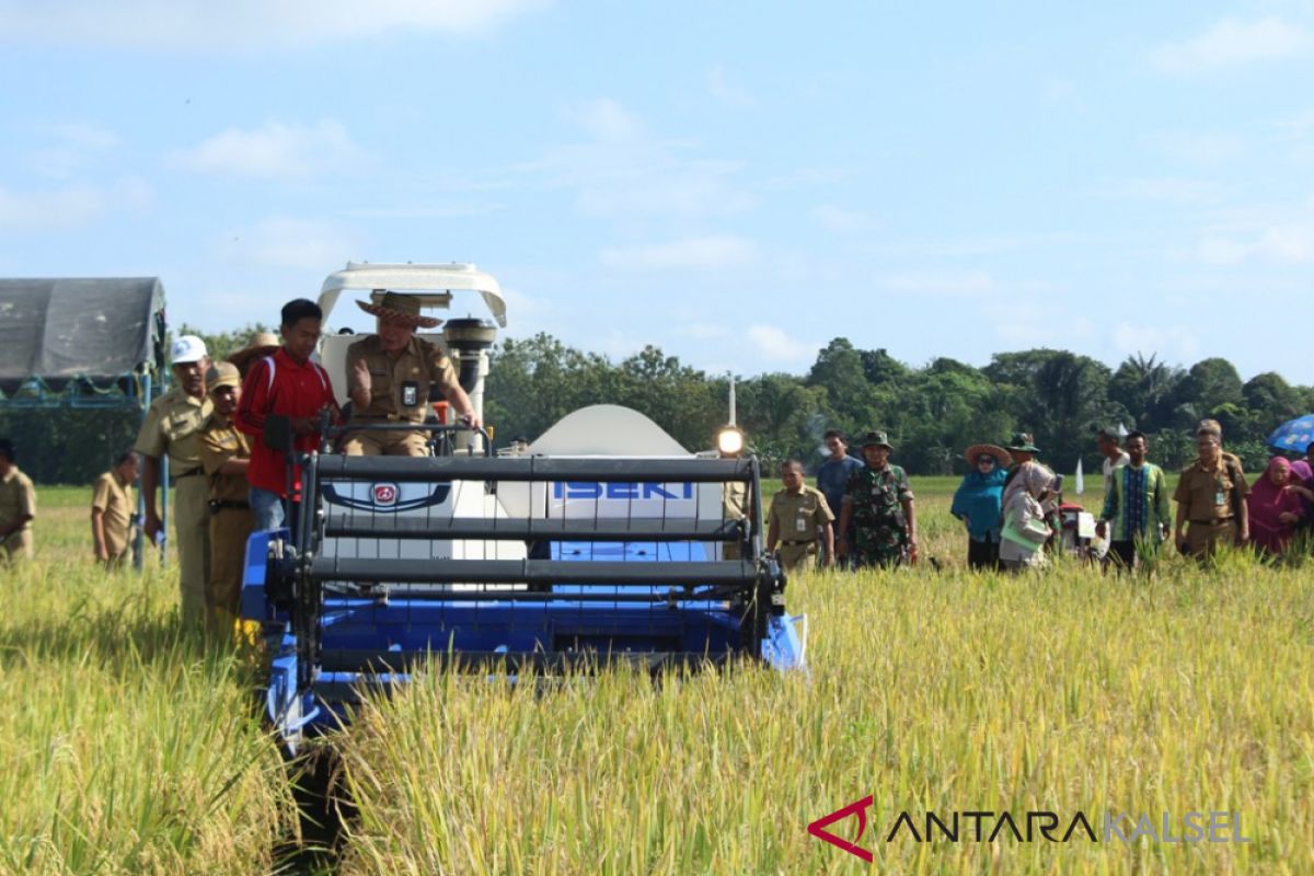 Produksi padi HST terus meningkat