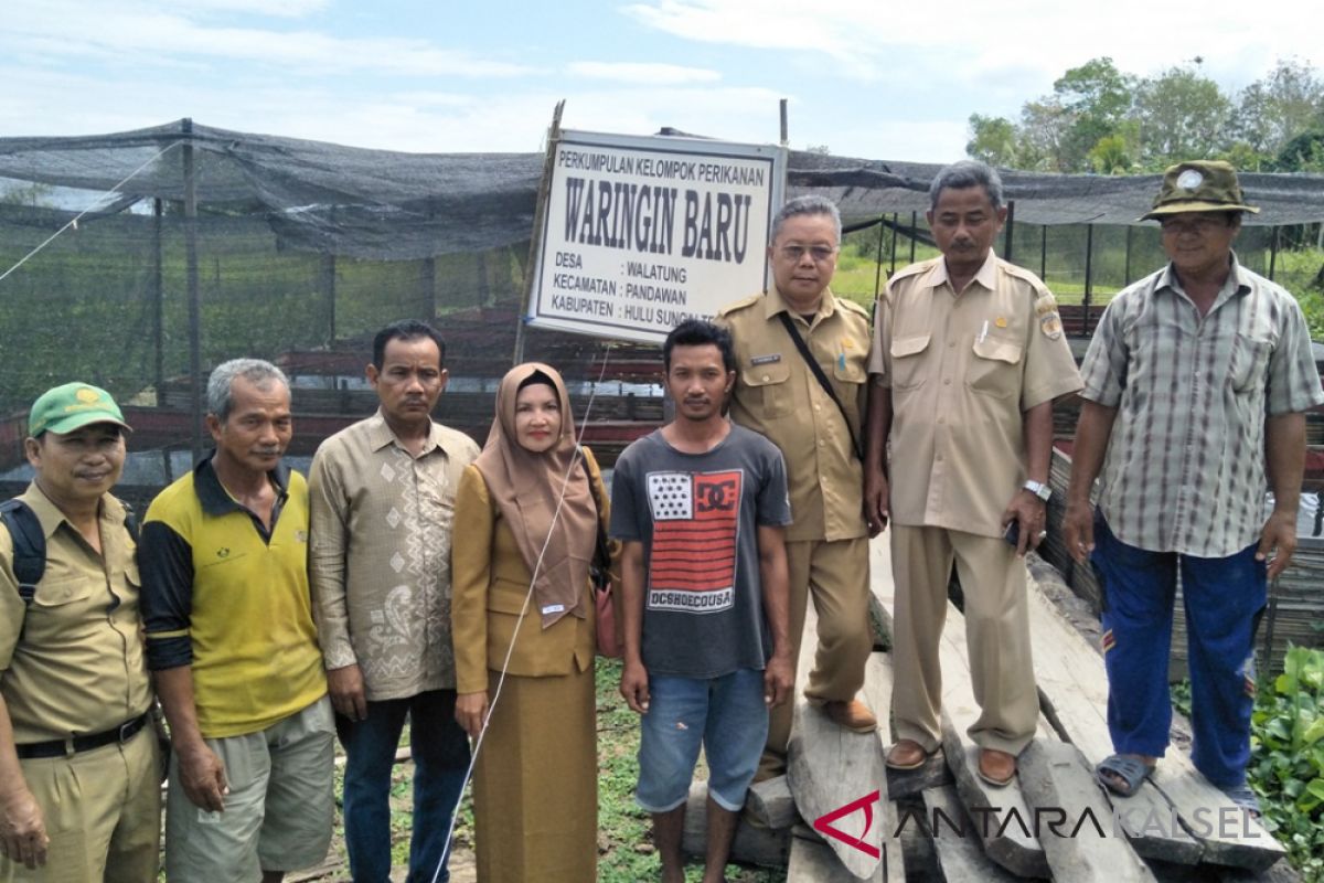 Pokdakan Waringin Baru Bangun Kampung Papuyu