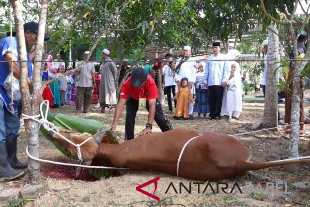 Polres Bangka Selatan potong tujuh hewan kurban