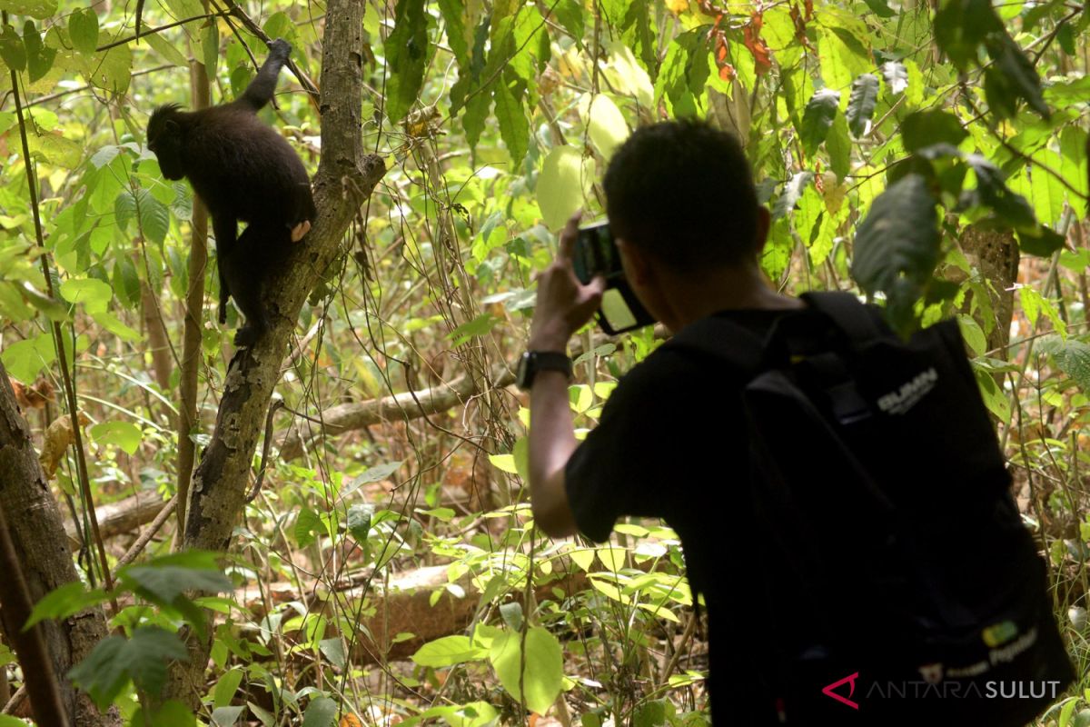 Jaga Cagar Alam Gunung Mutis, BBKSDA terapkan pendekatan 3A