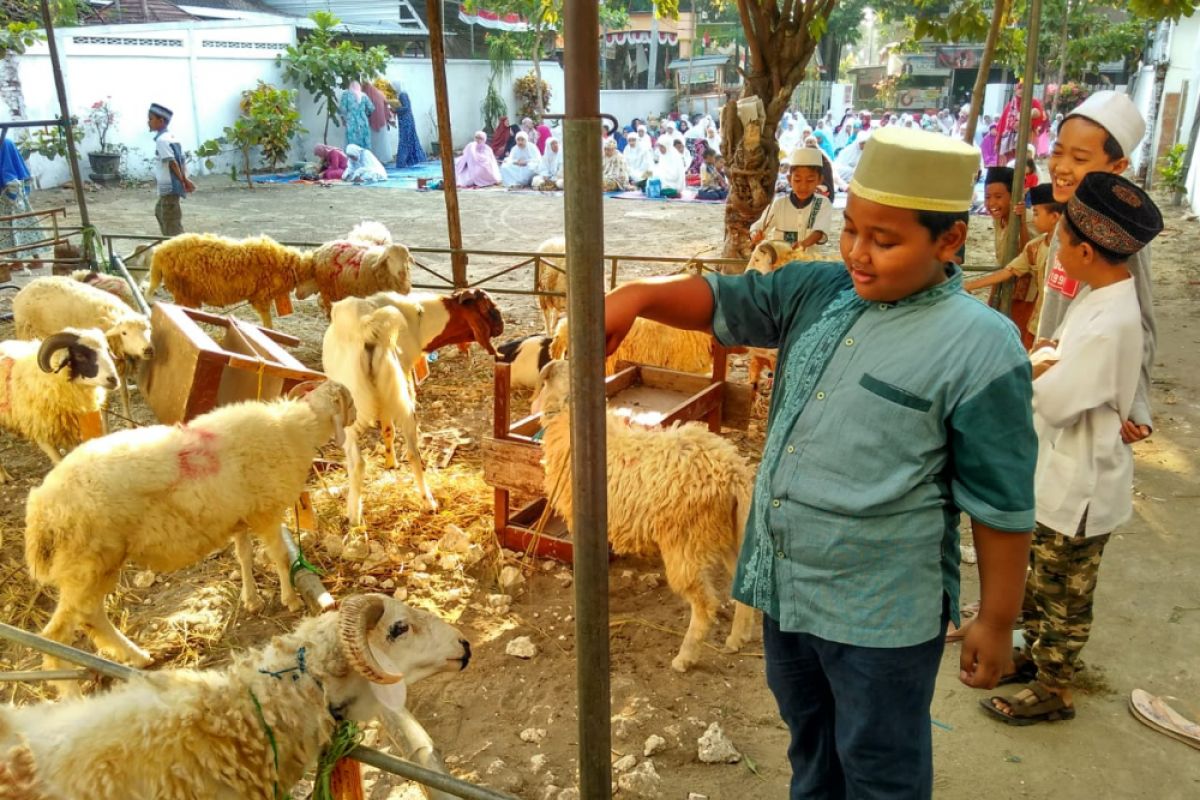 Pemkot Pangkalpinang Shalat Idul Adha bersama masyarakat