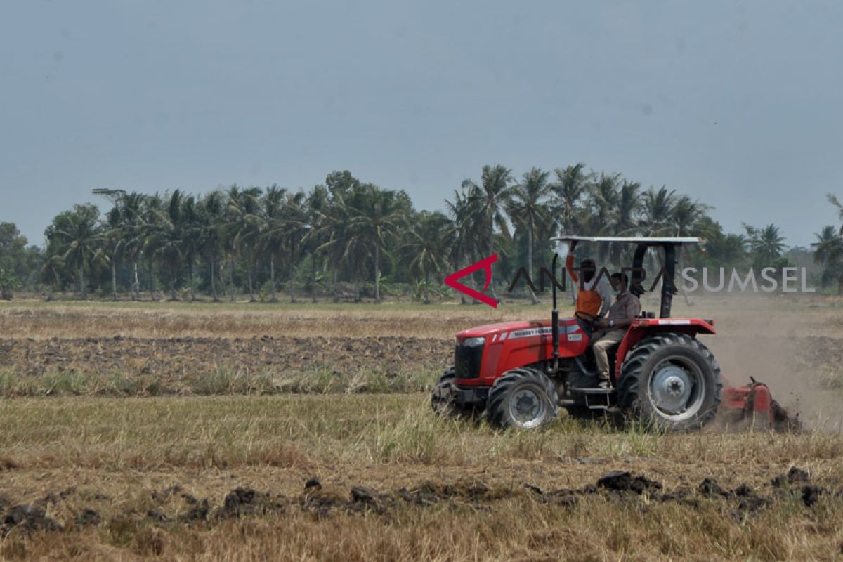 Kementan: Sawah rawa lebak bakal dikelola PT