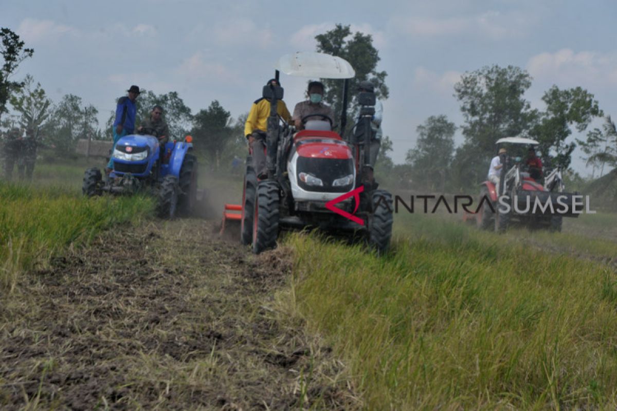 Memasuki panen,  Banyuasin jaga ketahanan pangan di tengah pandemi COVID-19