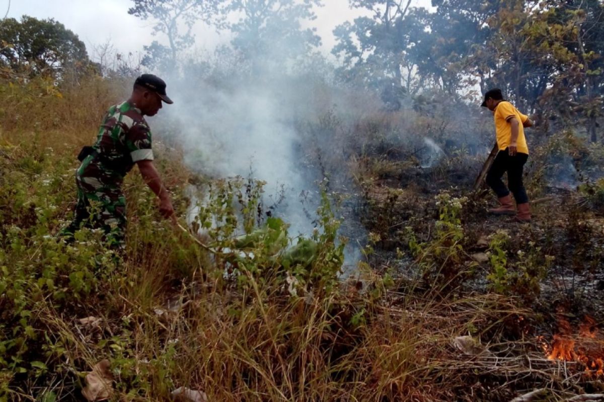 Hutan Milik Perhutani di Ponorogo Terbakar